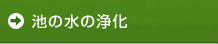 池の水の浄化