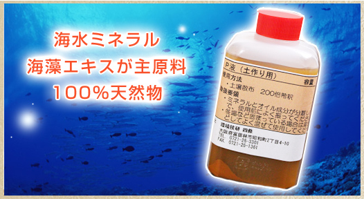 海水ミネラル・海藻エキスが主原料　100％天然物