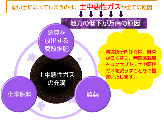 悪い土になってしまうのは、土中悪性ガスがすべての原因　地力の低下が万病の原因