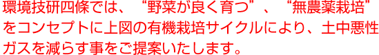 環境技研四條では、“野菜が良く育つ”、“無農薬栽培”をコンセプトに上図の有機栽培サイクルにより、土中悪性ガスを減らす事をご提案いたします。