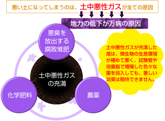 悪い土になってしまうのは、土中悪性ガスがすべての原因 地力の低下が万病の原因