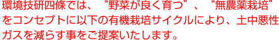 環境技研四條では、“野菜が良く育つ”、“無農薬栽培”をコンセプトに以下の有機栽培サイクルにより、土中悪性ガスを減らす事をご提案いたします。