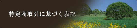 特定商取引に基づく表記